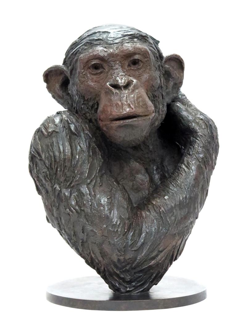 Exposition PierreJean Chabert à partir du Jeudi 2 septembre 2021